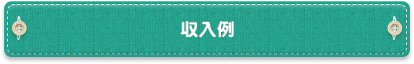 収入例